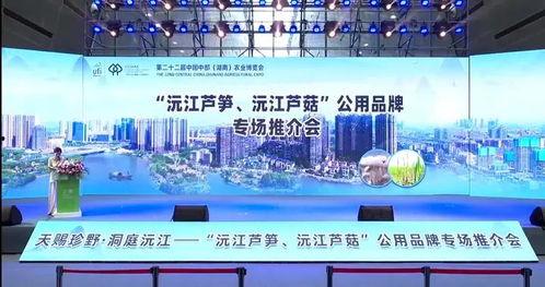 沅江市新闻爆料网,聚焦本土热点,传递最新资讯 第1张 沅江市新闻爆料网,聚焦本土热点,传递最新资讯 第1张